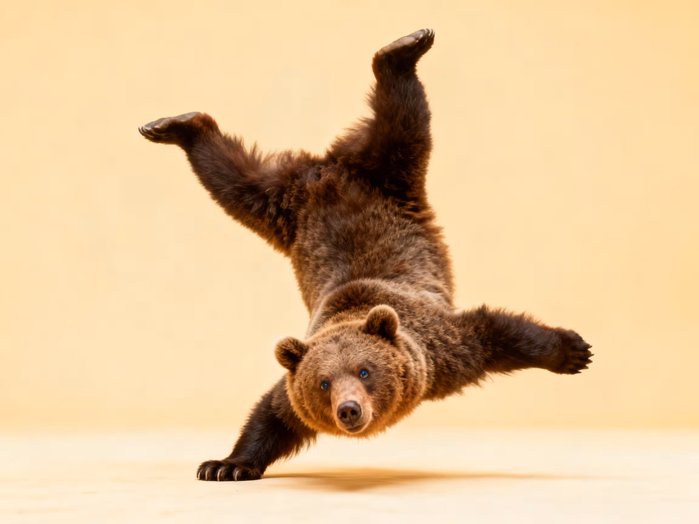 Video Generator by Hailuo